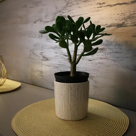 Apartment Sabac * Šabac